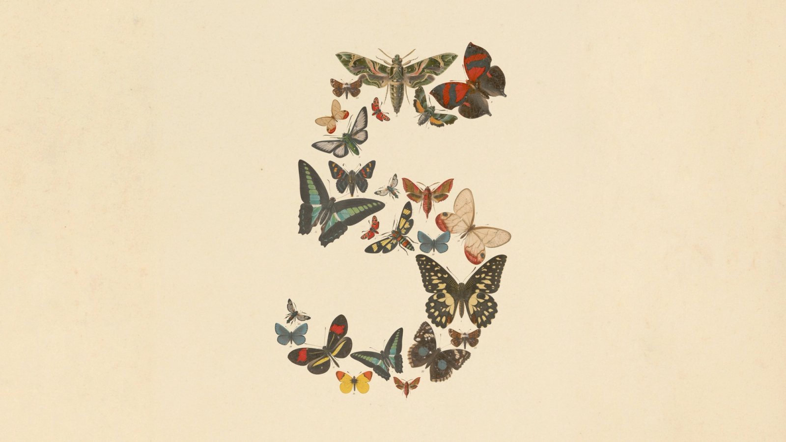 Visuel officiel du lancement de Claude Fable 5 : un chiffre 5 compos&eacute; de papillons naturalistes, signature artistique d'Anthropic.